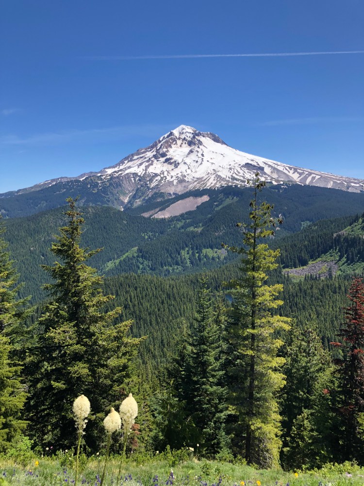 mt hood